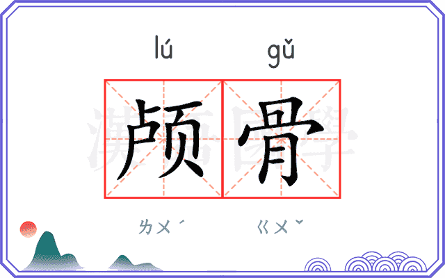 颅骨
