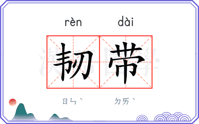 韧带