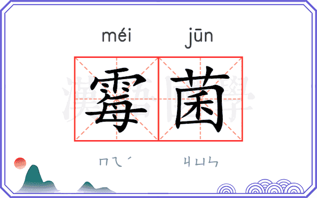 霉菌