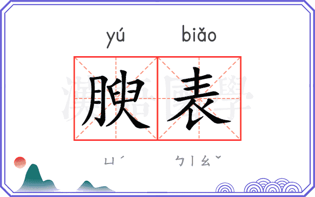 腴表