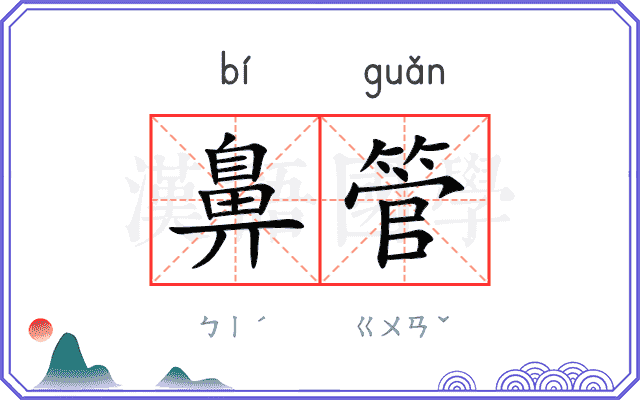 鼻管