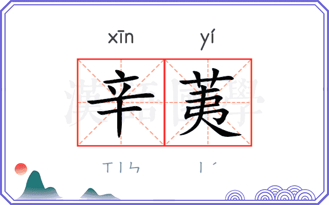 辛荑