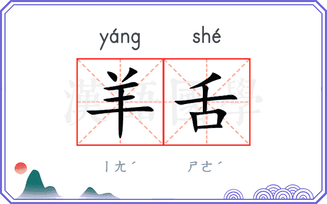 羊舌