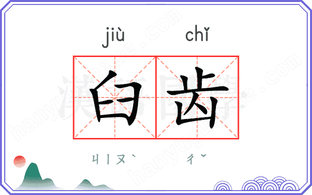 臼齿