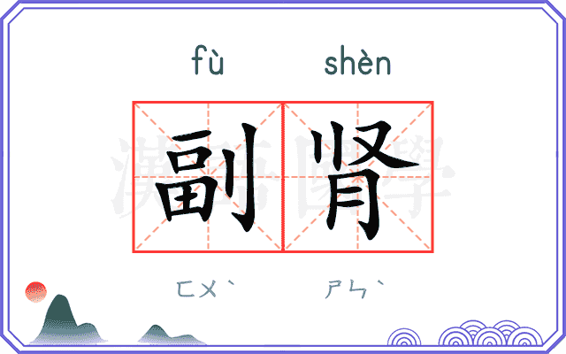副肾