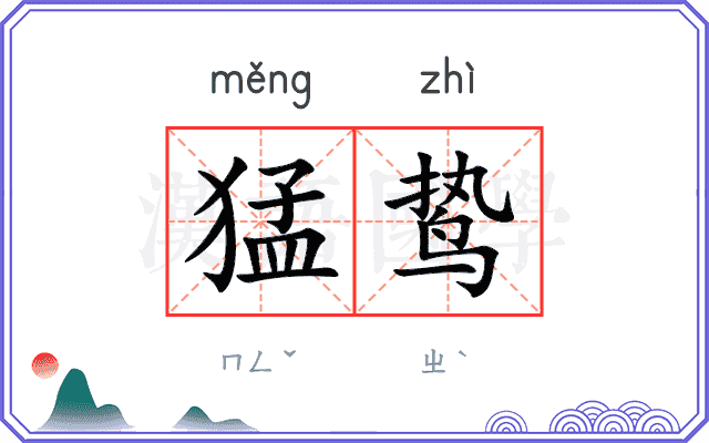 猛鸷