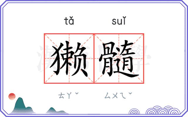 獭髓
