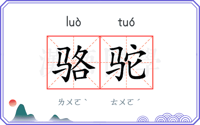 骆驼