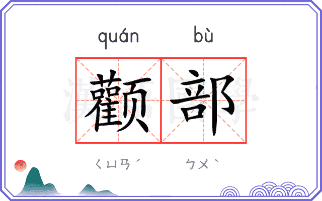 颧部