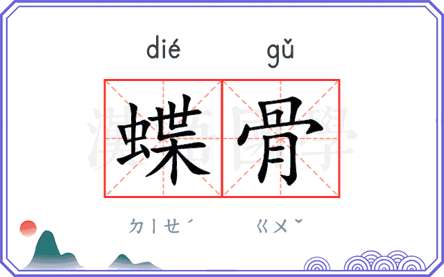 蝶骨