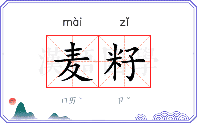 麦籽