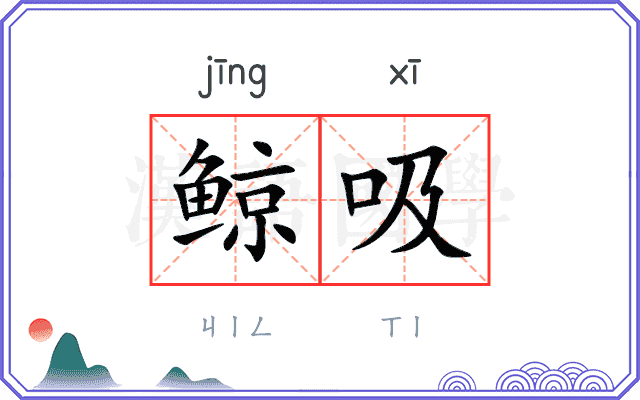 鲸吸