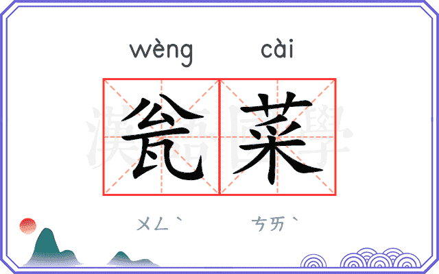 瓮菜