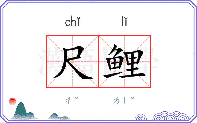 尺鲤