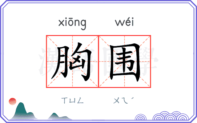 胸围