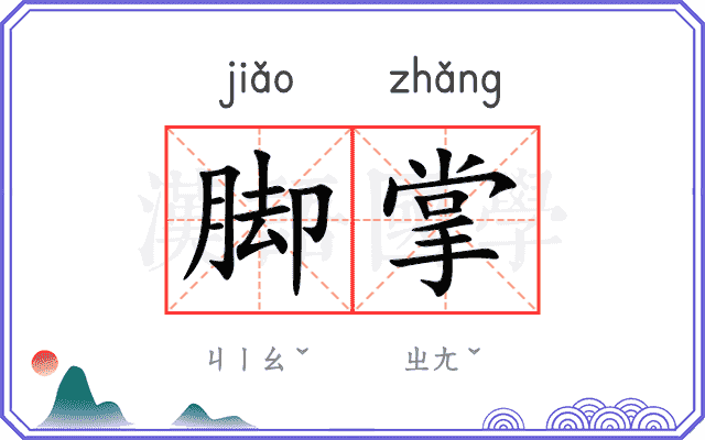 脚掌