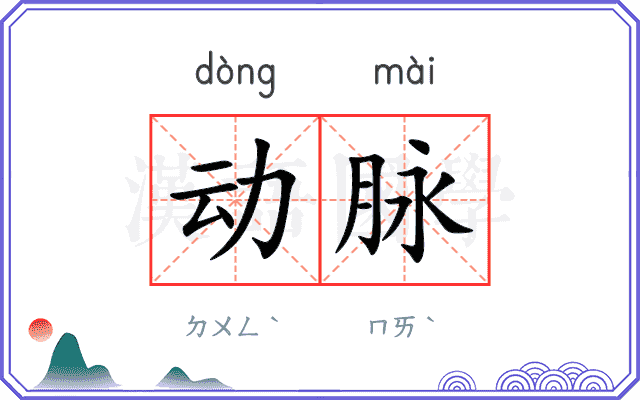 动脉