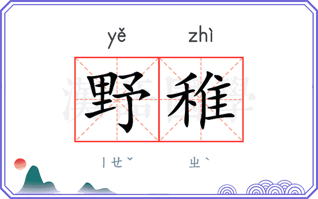 野稚
