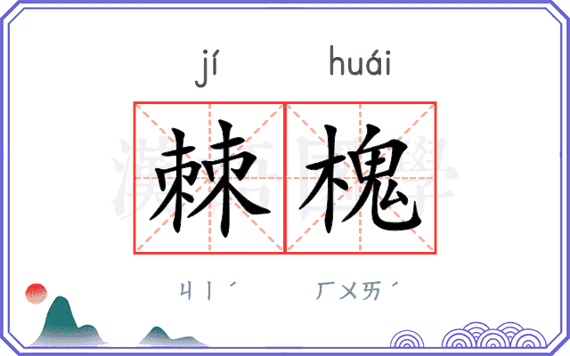 棘槐