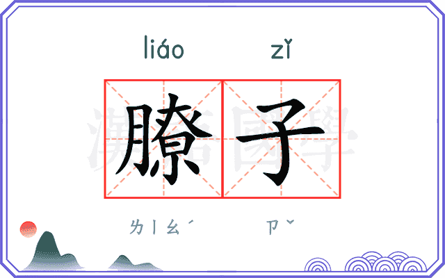 膫子