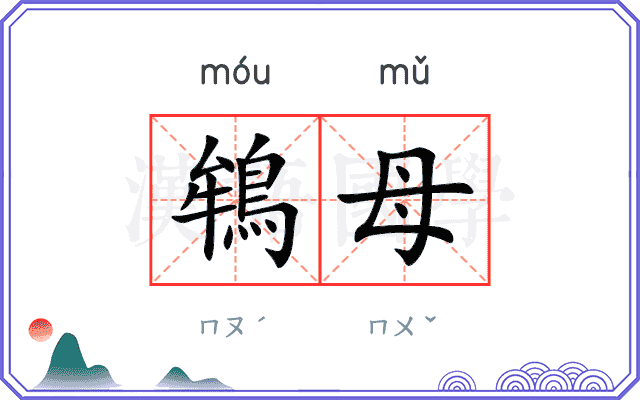 鴾母