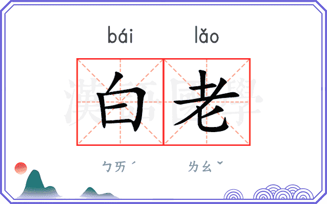 白老
