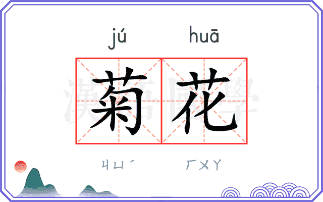 菊花