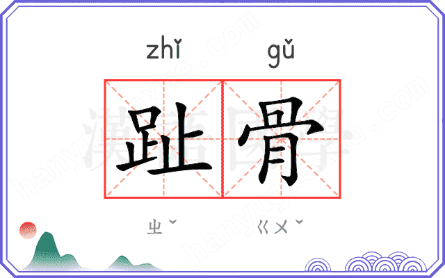 趾骨
