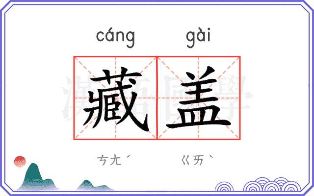 藏盖