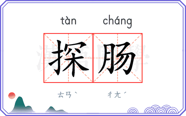 探肠