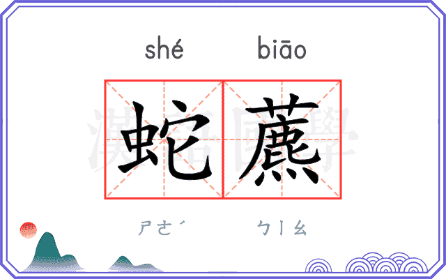 蛇藨