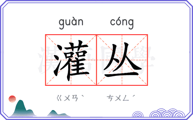灌丛