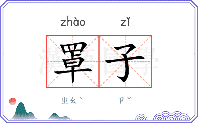 罩子