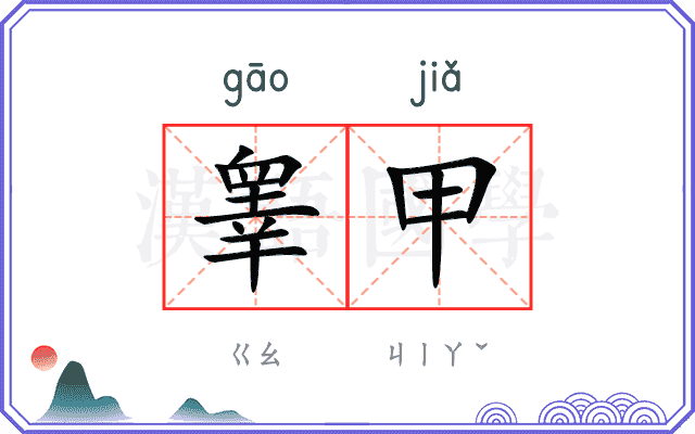 睾甲