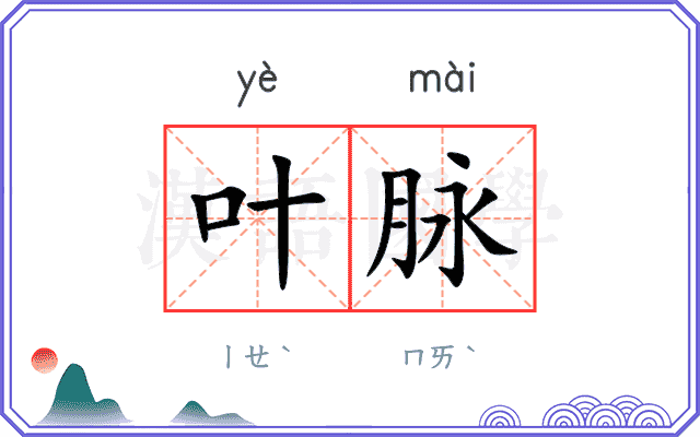 叶脉