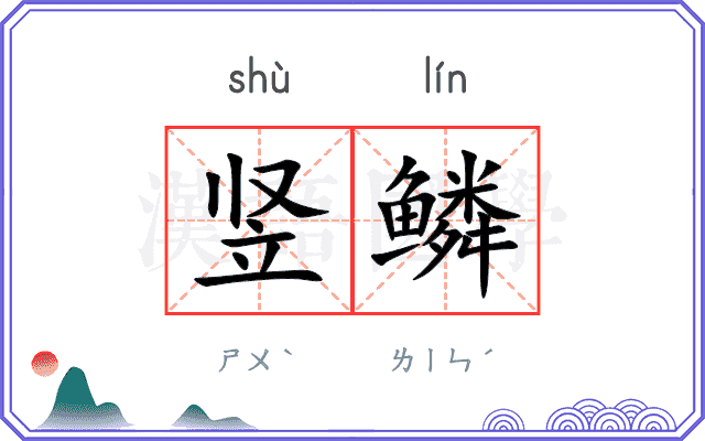 竖鳞