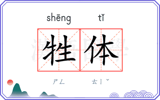 牲体