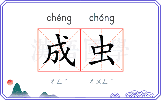 成虫