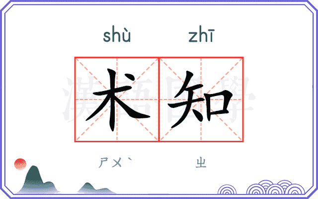 术知