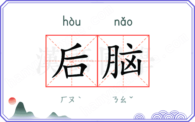 后脑