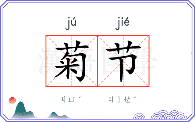 菊节