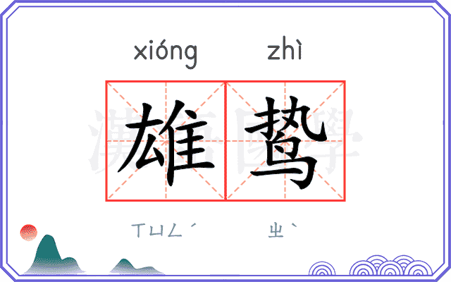 雄鸷