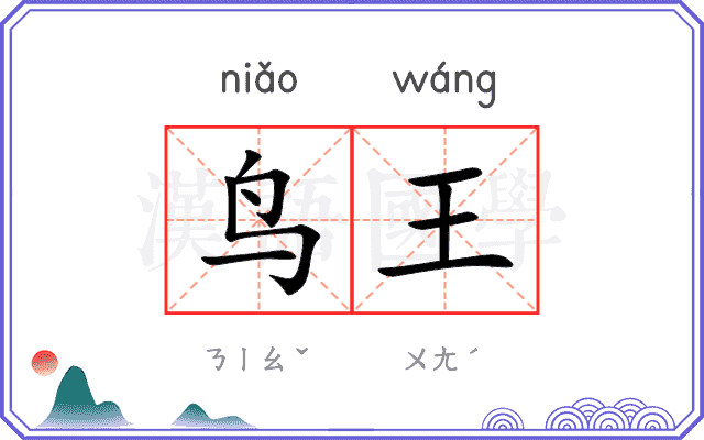 鸟王