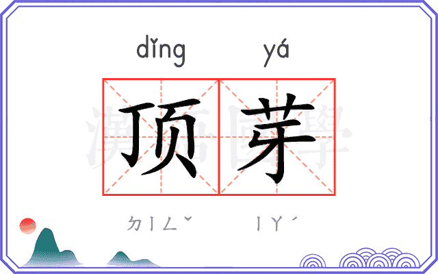 顶芽