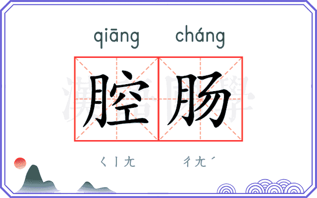 腔肠