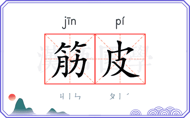 筋皮