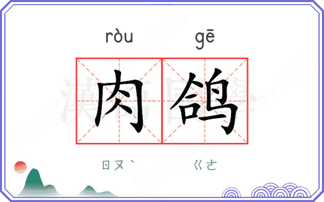 肉鸽