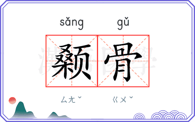 颡骨