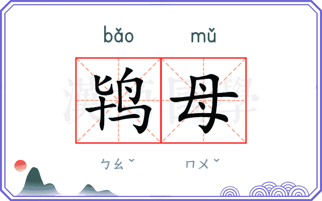 鸨母