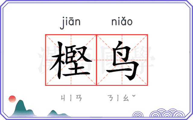 樫鸟